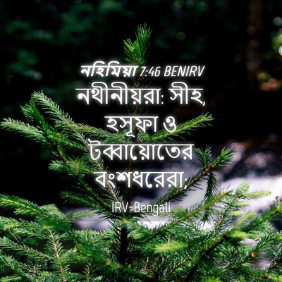 Picture 04 - নহিমিয়া 7:46 BENIRV - নথীনীয়রা: সীহ, - Bible Verse Picture