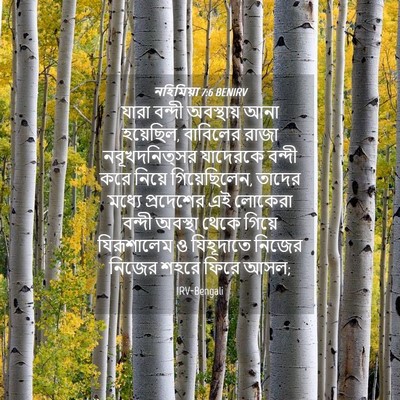 Picture 04 - নহিমিয়া 7:6 BENIRV - যারা বন্দী - Bible Verse Picture