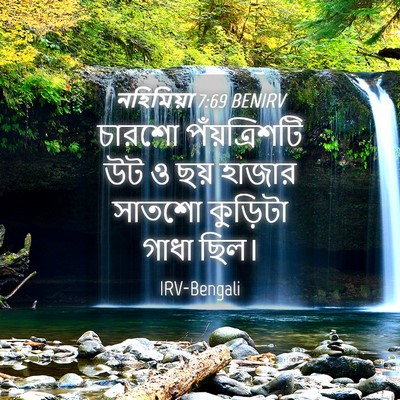 Picture 04 - নহিমিয়া 7:69 BENIRV - চারশো পঁয়ত্রিশটি - Bible Verse Picture
