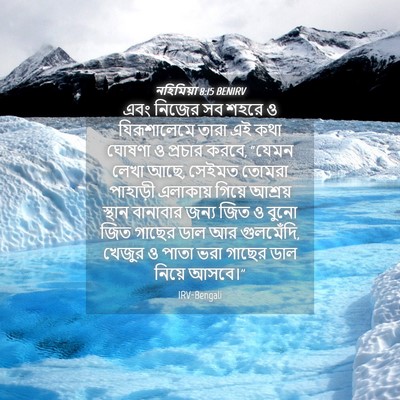 Picture 04 - নহিমিয়া 8:15 BENIRV - এবং নিজের সব শহরে ও - Bible Verse Picture