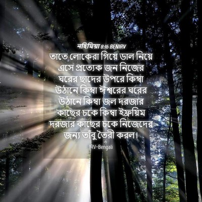 Picture 04 - নহিমিয়া 8:16 BENIRV - তাতে লোকেরা গিয়ে - Bible Verse Picture