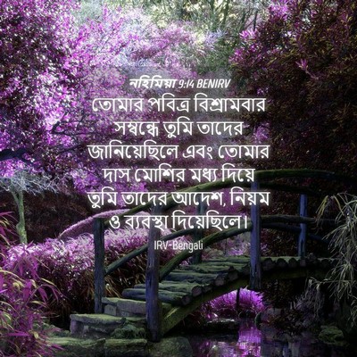 Picture 04 - নহিমিয়া 9:14 BENIRV - তোমার পবিত্র - Bible Verse Picture
