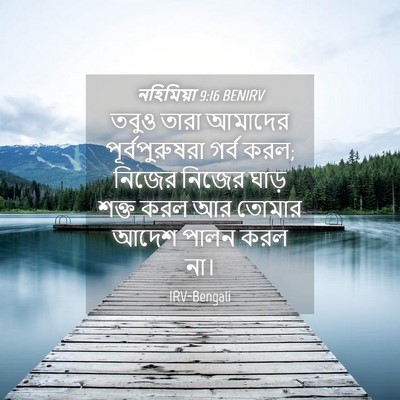 Picture 04 - নহিমিয়া 9:16 BENIRV - তবুও তারা আমাদের - Bible Verse Picture