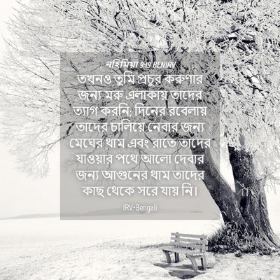 Picture 04 - নহিমিয়া 9:19 BENIRV - তখনও তুমি প্রচুর - Bible Verse Picture