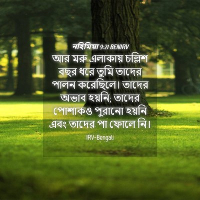 Picture 04 - নহিমিয়া 9:21 BENIRV - আর মরু এলাকায় - Bible Verse Picture