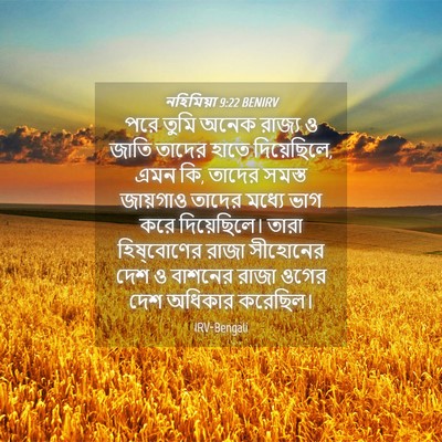 Picture 04 - নহিমিয়া 9:22 BENIRV - পরে তুমি অনেক - Bible Verse Picture