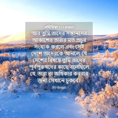 Picture 04 - নহিমিয়া 9:23 BENIRV - আর তুমি তাদের - Bible Verse Picture