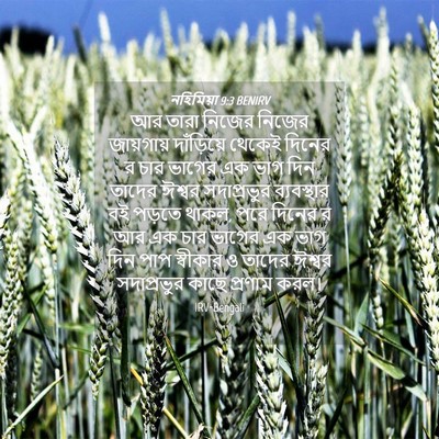 Picture 04 - নহিমিয়া 9:3 BENIRV - আর তারা নিজের - Bible Verse Picture