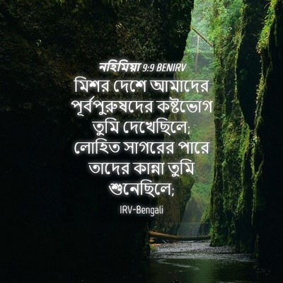 Picture 04 - নহিমিয়া 9:9 BENIRV - মিশর দেশে আমাদের - Bible Verse Picture
