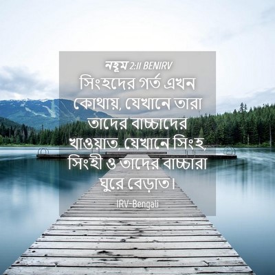 Picture 04 - নহূম 2:11 BENIRV - সিংহদের গর্ত এখন - Bible Verse Picture