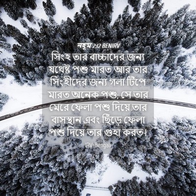 Picture 04 - নহূম 2:12 BENIRV - সিংহ তার - Bible Verse Picture
