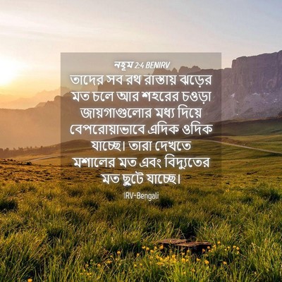 Picture 04 - নহূম 2:4 BENIRV - তাদের সব রথ - Bible Verse Picture
