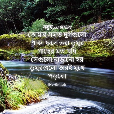 Picture 04 - নহূম 3:12 BENIRV - তোমার সমস্ত - Bible Verse Picture