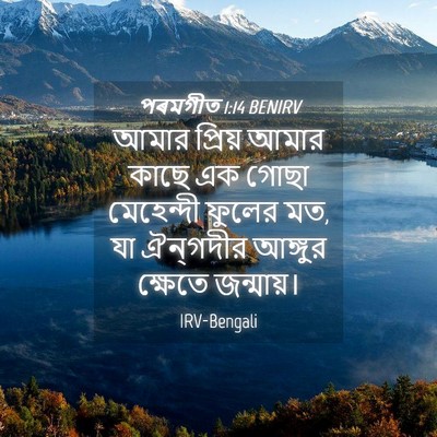 Picture 04 - পৰমগীত 1:14 BENIRV - আমার প্রিয় আমার - Bible Verse Picture