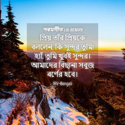 Picture 04 - পৰমগীত 1:16 BENIRV - প্রিয় তাঁর - Bible Verse Picture