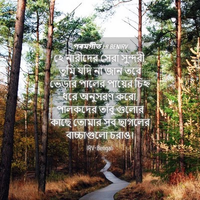 Picture 04 - পৰমগীত 1:8 BENIRV - হে নারীদের সেরা - Bible Verse Picture