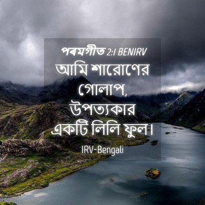 Picture 04 - পৰমগীত 2:1 BENIRV - আমি শারোণের গোলাপ, - Bible Verse Picture