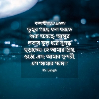 Picture 04 - পৰমগীত 2:13 BENIRV - ডুমুর গাছে ফল ধরতে - Bible Verse Picture