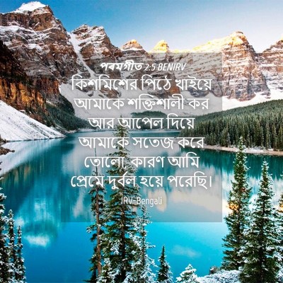 Picture 04 - পৰমগীত 2:5 BENIRV - কিশমিশের পিঠে - Bible Verse Picture