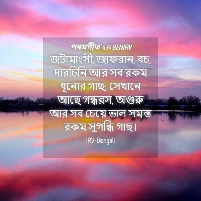 Picture 04 - পৰমগীত 4:14 BENIRV - জটামাংসী, জাফরান, - Bible Verse Picture