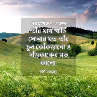 Picture 04 - পৰমগীত 5:11 BENIRV - তাঁর মাথা খাঁটি - Bible Verse Picture