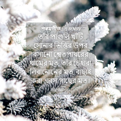 Picture 04 - পৰমগীত 5:15 BENIRV - তাঁর পাগুলি খাঁটি - Bible Verse Picture