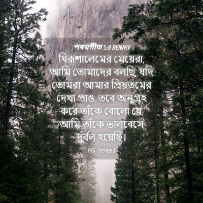 Picture 04 - পৰমগীত 5:8 BENIRV - যিরূশালেমের - Bible Verse Picture