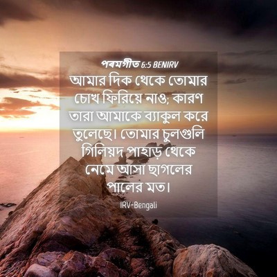 Picture 04 - পৰমগীত 6:5 BENIRV - আমার দিক থেকে - Bible Verse Picture
