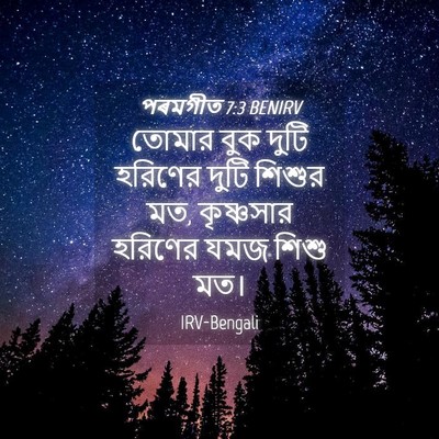 Picture 04 - পৰমগীত 7:3 BENIRV - তোমার বুক দুটি - Bible Verse Picture