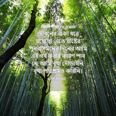 Picture 04 - ফিলিপীয়া 2:16 BENIRV - জীবনের বাক্য ধরে - Bible Verse Picture