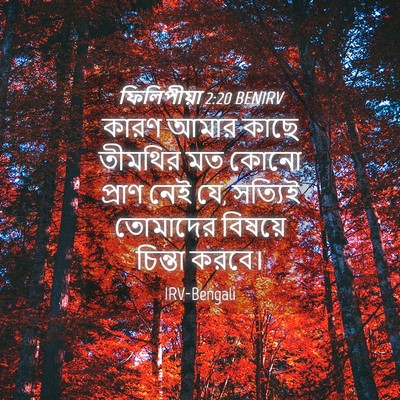 Picture 04 - ফিলিপীয়া 2:20 BENIRV - কারণ আমার কাছে - Bible Verse Picture