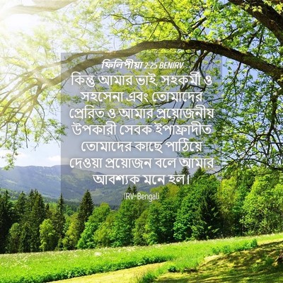 Picture 04 - ফিলিপীয়া 2:25 BENIRV - কিন্তু আমার ভাই, - Bible Verse Picture