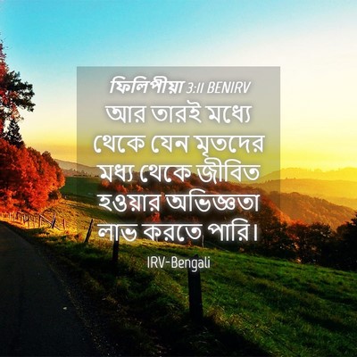 Picture 04 - ফিলিপীয়া 3:11 BENIRV - আর তারই মধ্যে থেকে - Bible Verse Picture