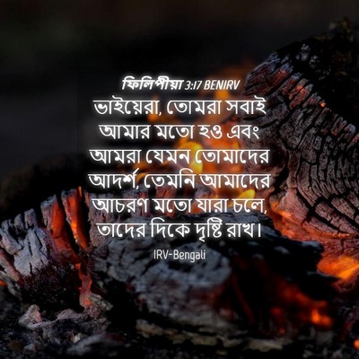 Picture 04 - ফিলিপীয়া 3:17 BENIRV - ভাইয়েরা, তোমরা - Bible Verse Picture