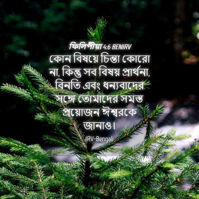 Picture 04 - ফিলিপীয়া 4:6 BENIRV - কোন বিষয়ে চিন্তা - Bible Verse Picture
