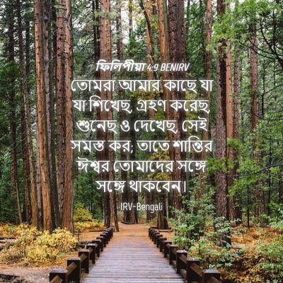 Picture 04 - ফিলিপীয়া 4:9 BENIRV - তোমরা আমার কাছে যা - Bible Verse Picture