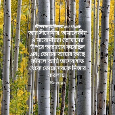 Picture 04 - বিচাৰকর্তাবিলাক 10:12 BENIRV - আর সীদোনীয়, - Bible Verse Picture