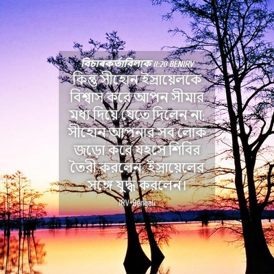 Picture 04 - বিচাৰকর্তাবিলাক 11:20 BENIRV - কিন্তু সীহোন - Bible Verse Picture