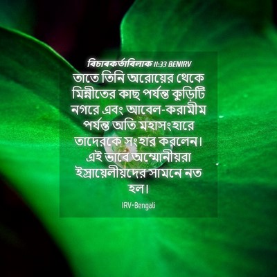 Picture 04 - বিচাৰকর্তাবিলাক 11:33 BENIRV - তাতে তিনি অরোয়ের - Bible Verse Picture