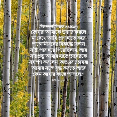 Picture 04 - বিচাৰকর্তাবিলাক 12:3 BENIRV - তোমরা আমাকে - Bible Verse Picture