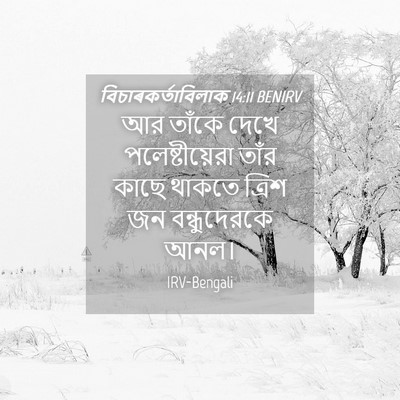 Picture 04 - বিচাৰকর্তাবিলাক 14:11 BENIRV - আর তাঁকে দেখে - Bible Verse Picture