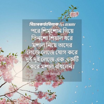 Picture 04 - বিচাৰকর্তাবিলাক 15:4 BENIRV - পরে শিম্‌শোন - Bible Verse Picture