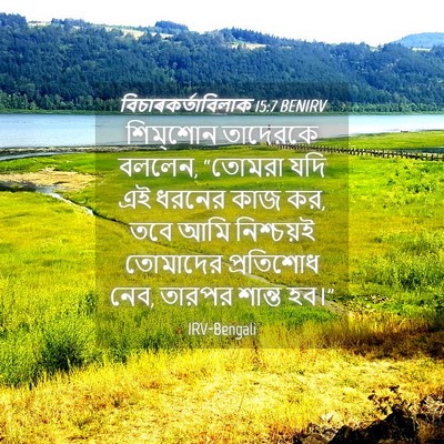 Picture 04 - বিচাৰকর্তাবিলাক 15:7 BENIRV - শিম্‌শোন তাদেরকে - Bible Verse Picture