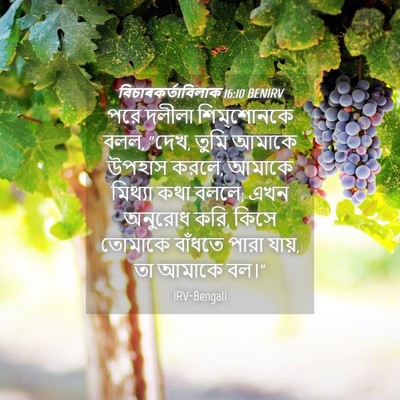 Picture 04 - বিচাৰকর্তাবিলাক 16:10 BENIRV - পরে দলীলা - Bible Verse Picture