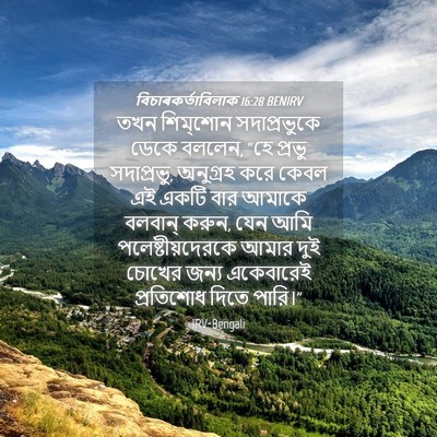 Picture 04 - বিচাৰকর্তাবিলাক 16:28 BENIRV - তখন শিম্‌শোন - Bible Verse Picture