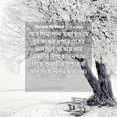 Picture 04 - বিচাৰকর্তাবিলাক 16:29 BENIRV - পরে শিম্‌শোন, - Bible Verse Picture