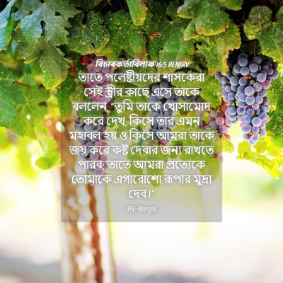 Picture 04 - বিচাৰকর্তাবিলাক 16:5 BENIRV - তাতে পলেষ্টীয়দের - Bible Verse Picture