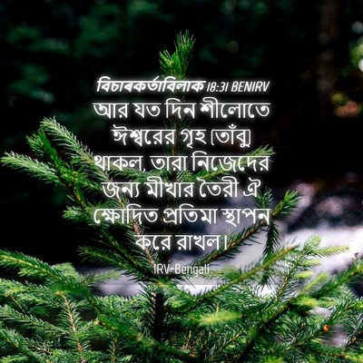 Picture 04 - বিচাৰকর্তাবিলাক 18:31 BENIRV - আর যত দিন শীলোতে - Bible Verse Picture