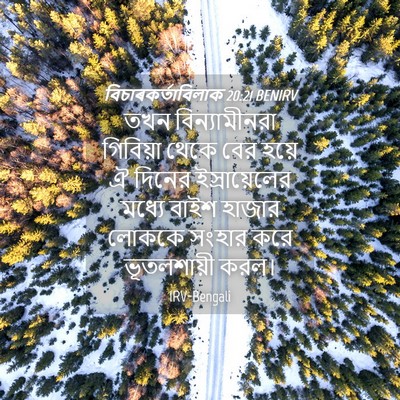 Picture 04 - বিচাৰকর্তাবিলাক 20:21 BENIRV - তখন বিন্যামীনরা - Bible Verse Picture