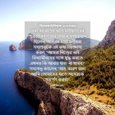 Picture 04 - বিচাৰকর্তাবিলাক 20:28 BENIRV - এবং হারোণের নাতি - Bible Verse Picture